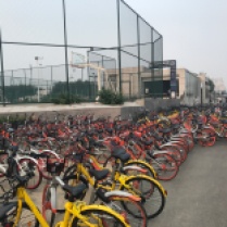 Bikes are all over Beijing